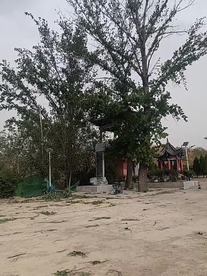 如果爱是一种信仰，小莎你就是我的信仰