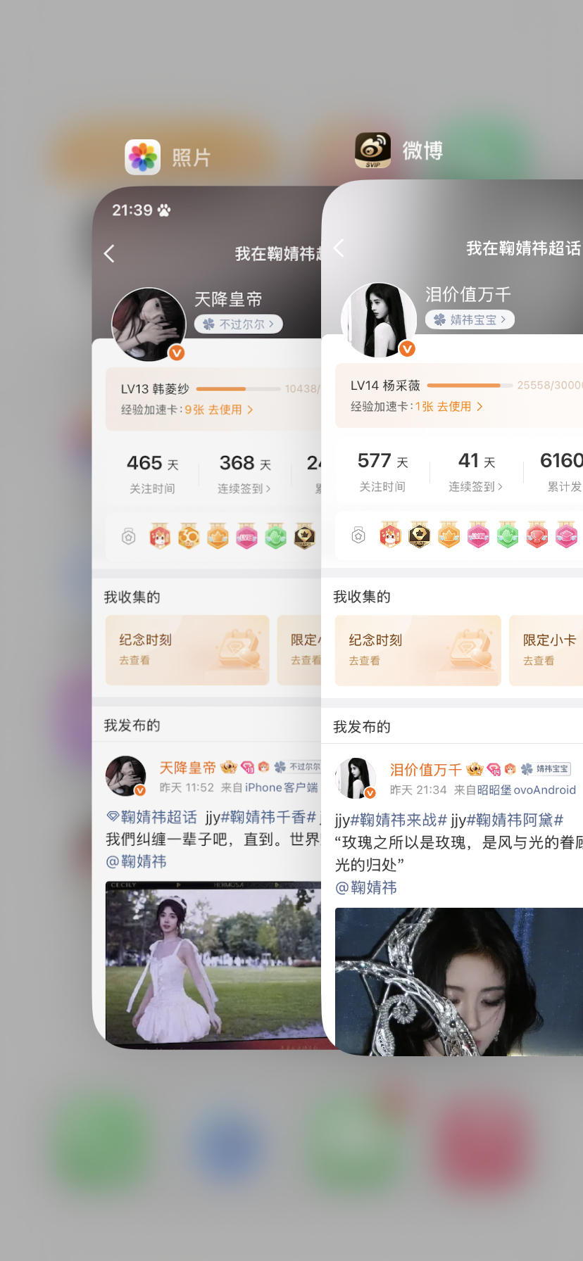 晚上好 来动动 