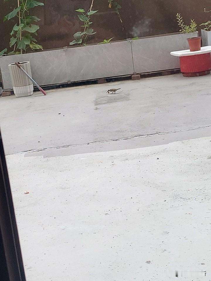 项羽与韩信,谁是用兵高手?家暴的男人你能原谅吗 西楚霸王刘邦 项羽精神 刘邦谋略