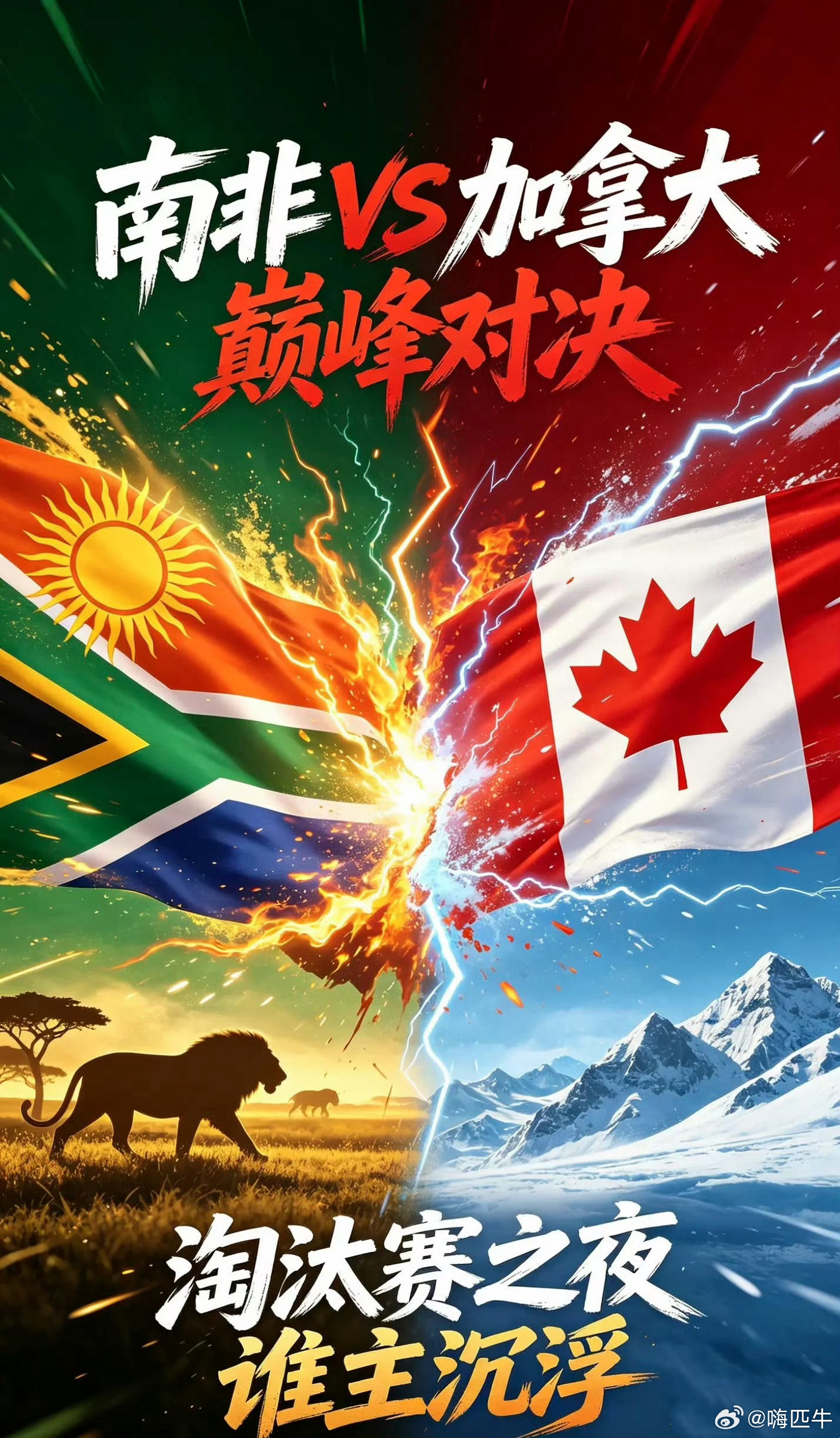 南非vs加拿大我搞了200米南非赢