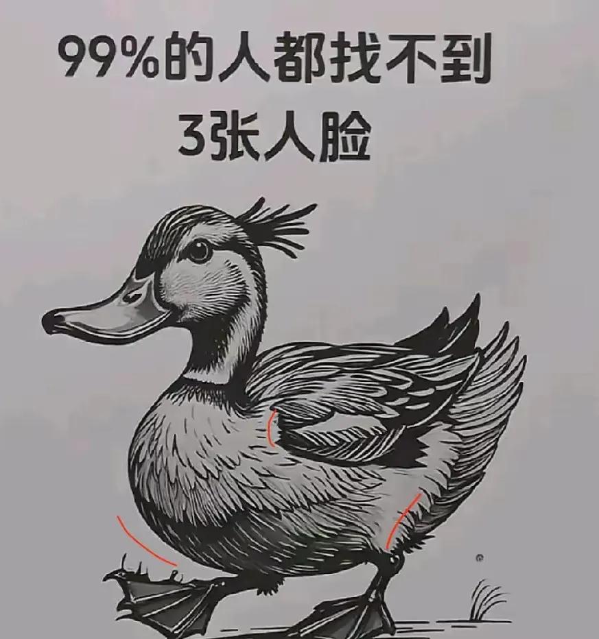 考眼力，能找到吗？
找人脸考验眼力 在线眼力测试 眼力测试😉