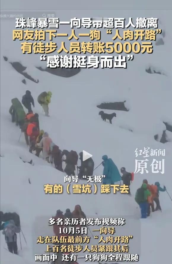 西藏珠峰突发暴雪，一向导冒“死”带百余人雪中撤离，还把狗派到前面带路，历经9个小