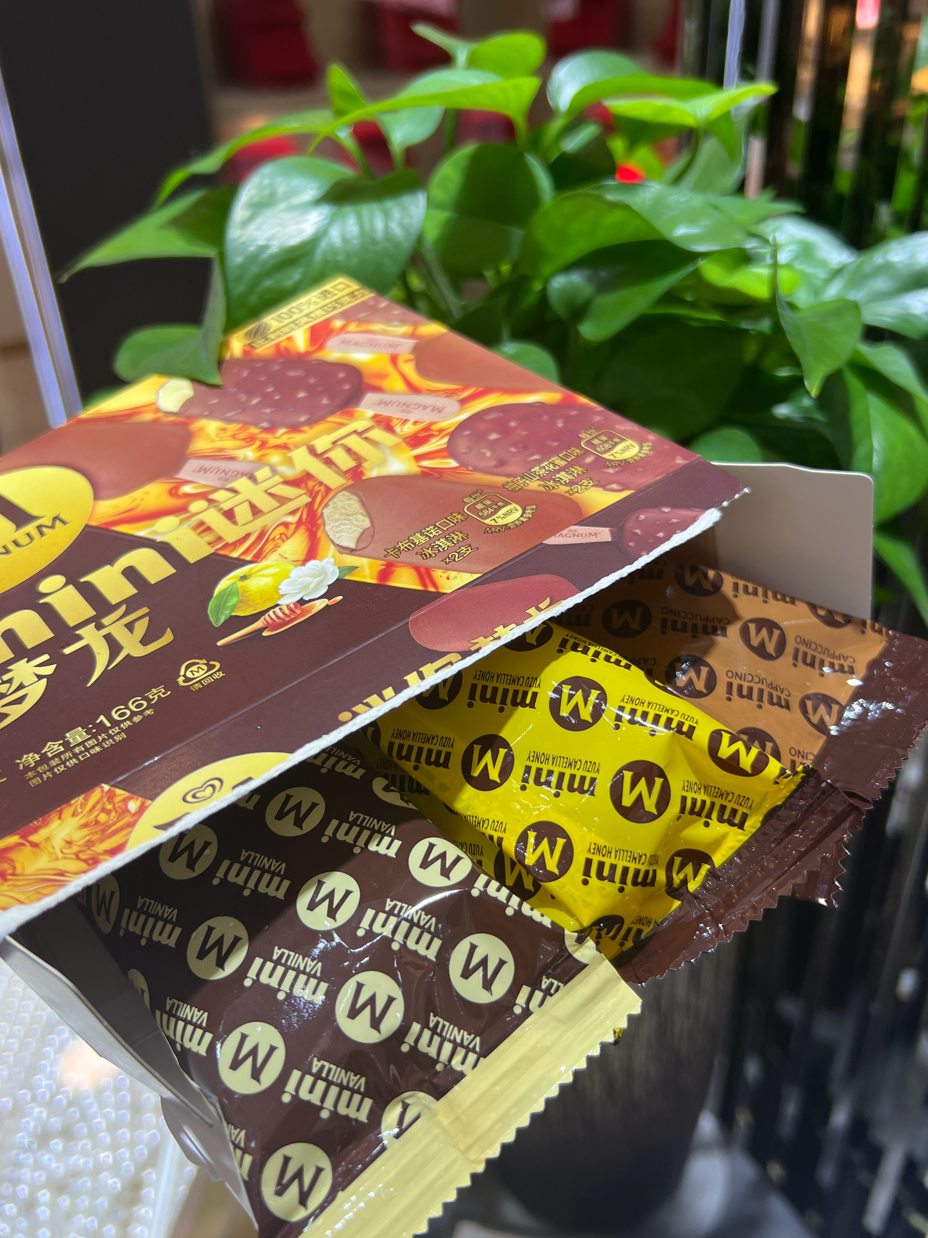 夏天就要吃梦龙呀😋生活手记 ​​​