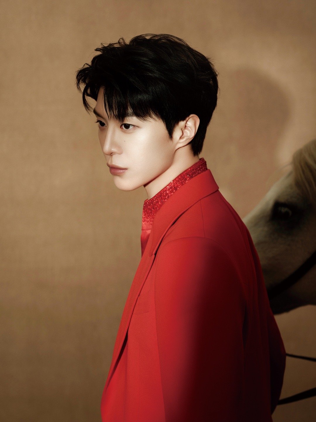 刘宇宁 × 2026央视总台春晚 造型大片，钻饰刺绣与纯红西装交错，加身 BVL