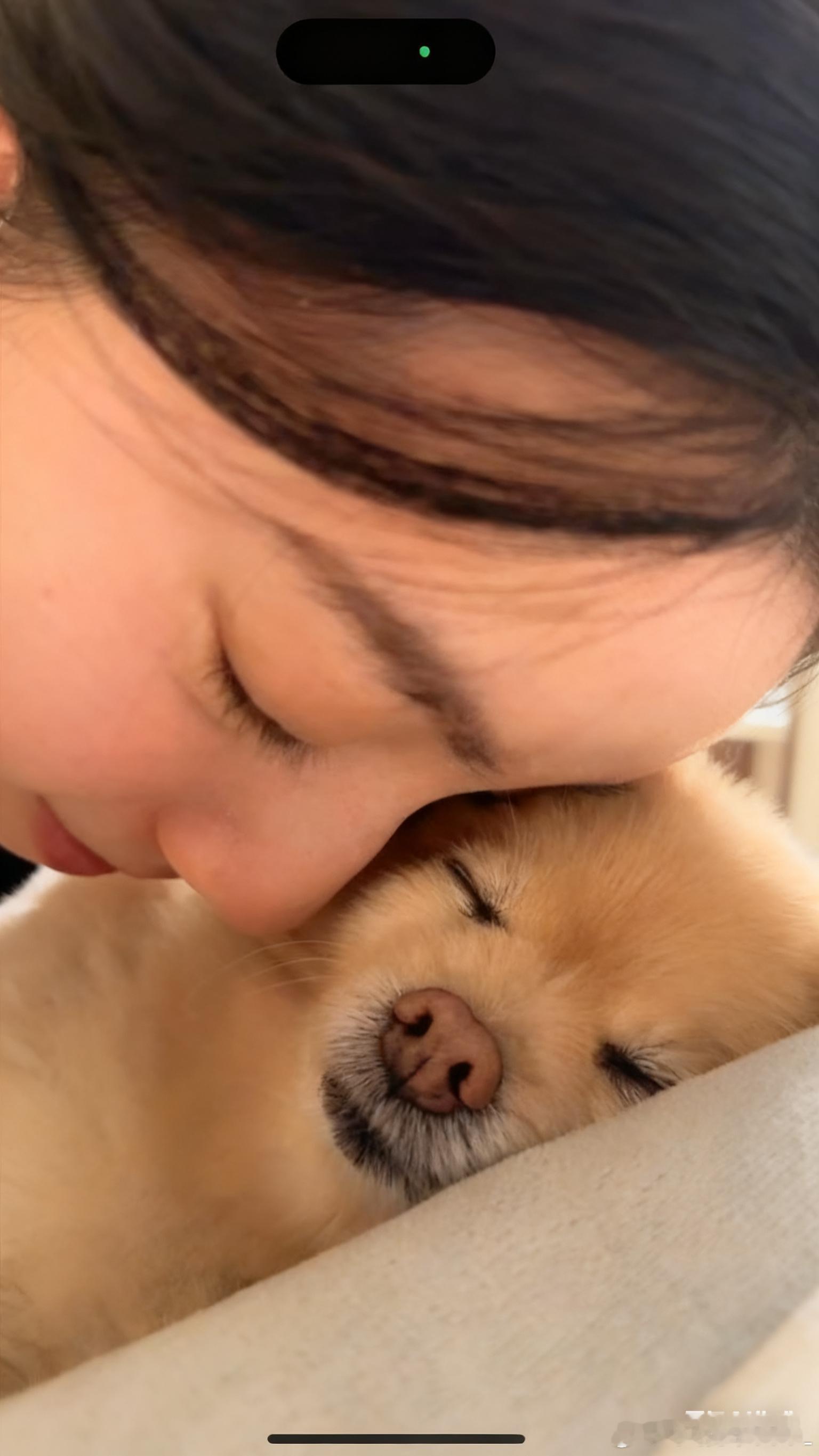 每次出差一有空就会打开相册看茶包的照片和视频。这张照片叫姐爱包，包爱姐 