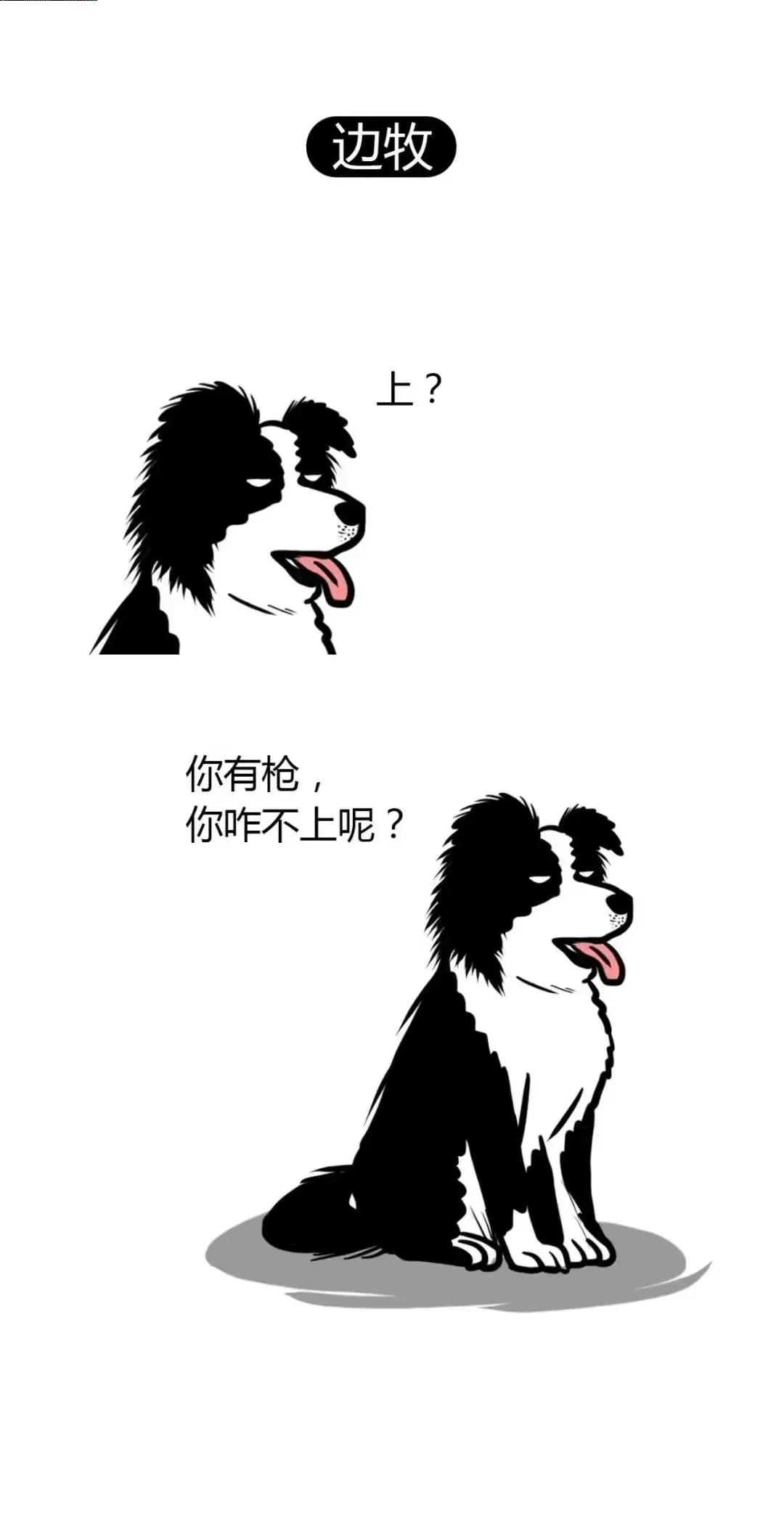 为什么警犬基本上都是德国牧羊犬？

水桶原理，德牧没有明显的短板，因为当初繁育德