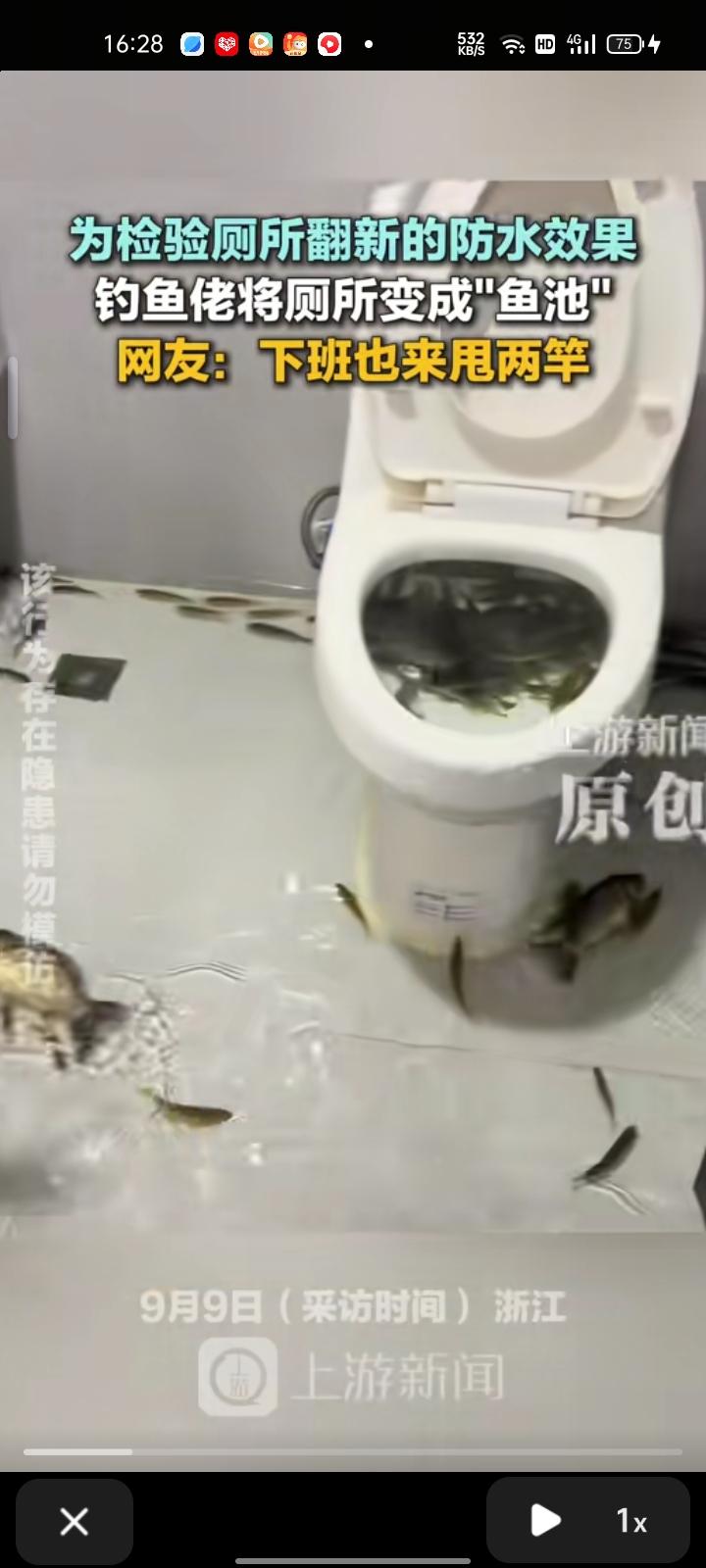 8月31日，温州市文成县。为检验厕所翻新的防水效果，钓鱼佬把厕所变成“鱼池”。拍