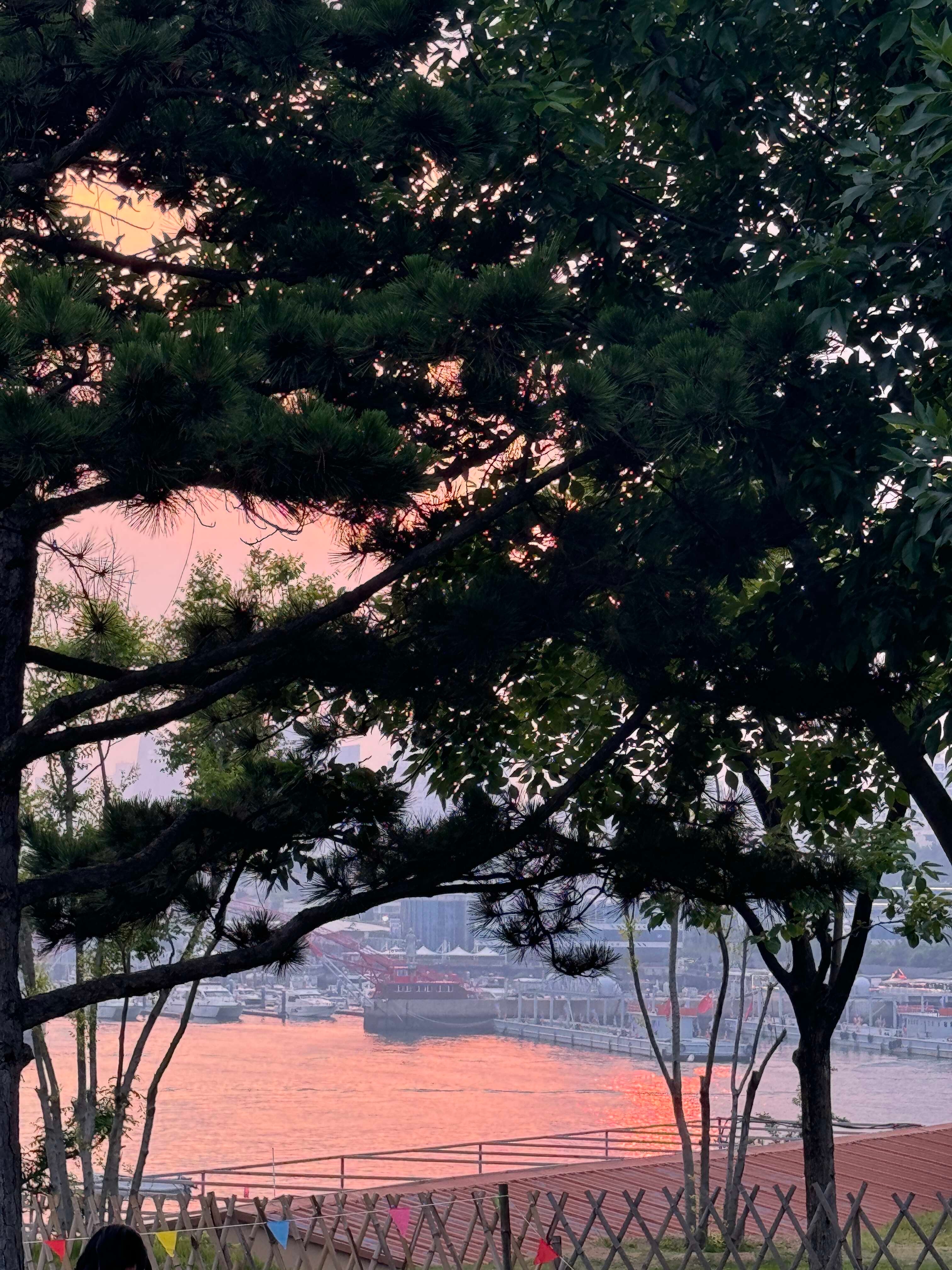 总要来一场日落吧🌄吹海风红吊带和鎏金晚霞撞个满怀，把热烈和温柔都穿在了身上。这