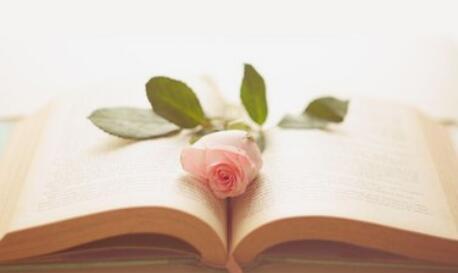 射手座和这三个星座相对是比较合拍的第一位：狮子座射手座和狮子座就像爱情中的男主角