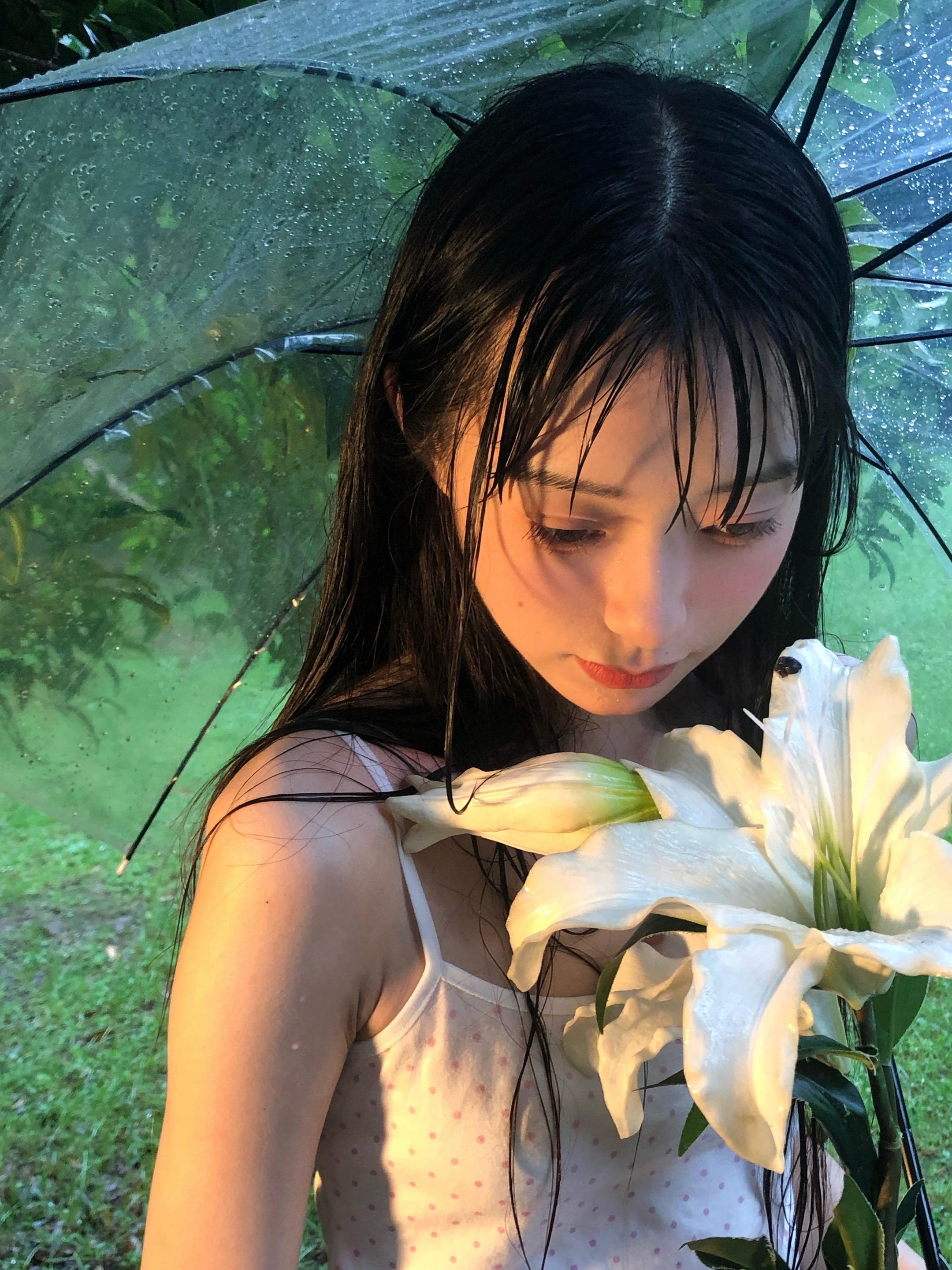 雨百合