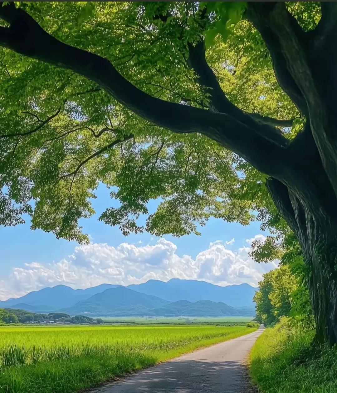 问大家一个问题
如果有一个多年不联系的人突然给你打来电话，你接还是不接？
 
上