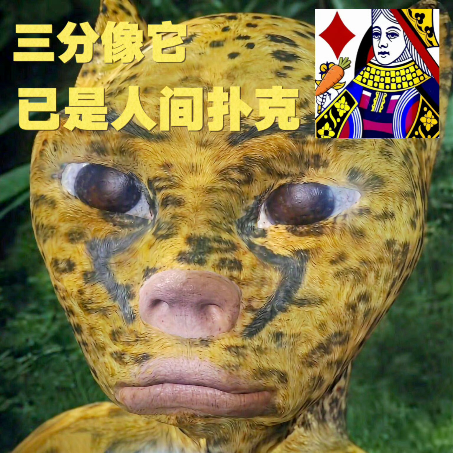 没有提到任何人 