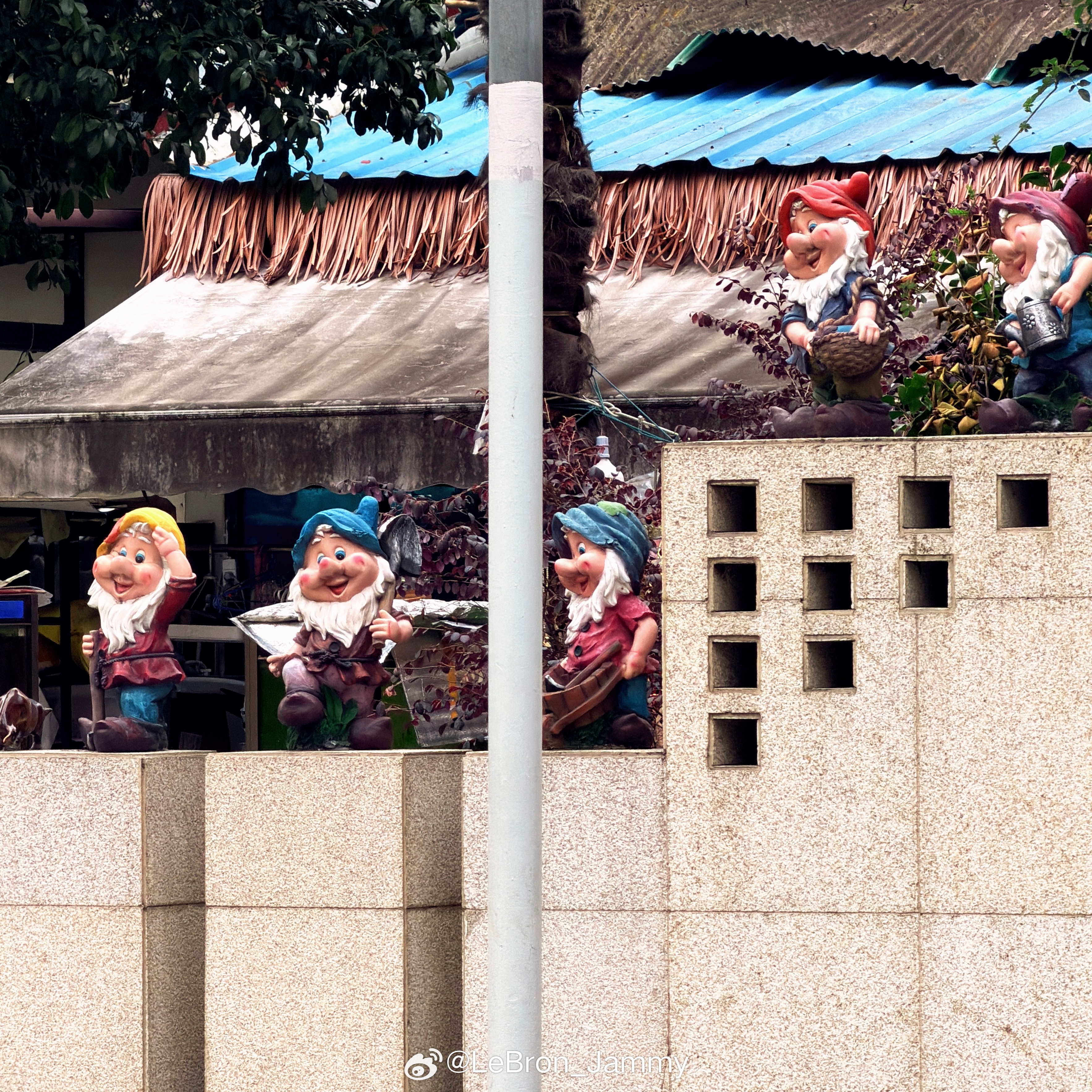 公主来了😌 上海·愚园路