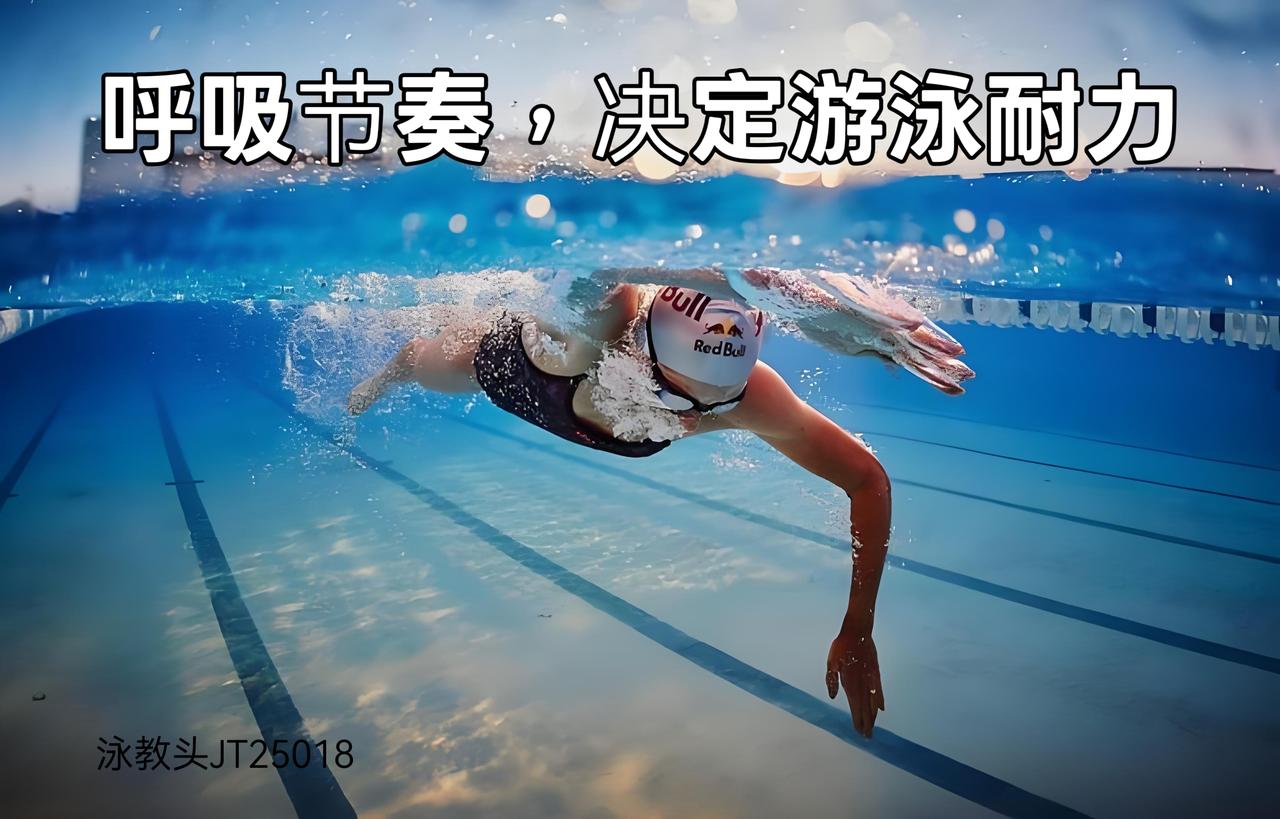 泳讲堂：呼吸节奏，才是游泳耐力的真正密码
 
很多泳友游不远、游不累，问题不在手