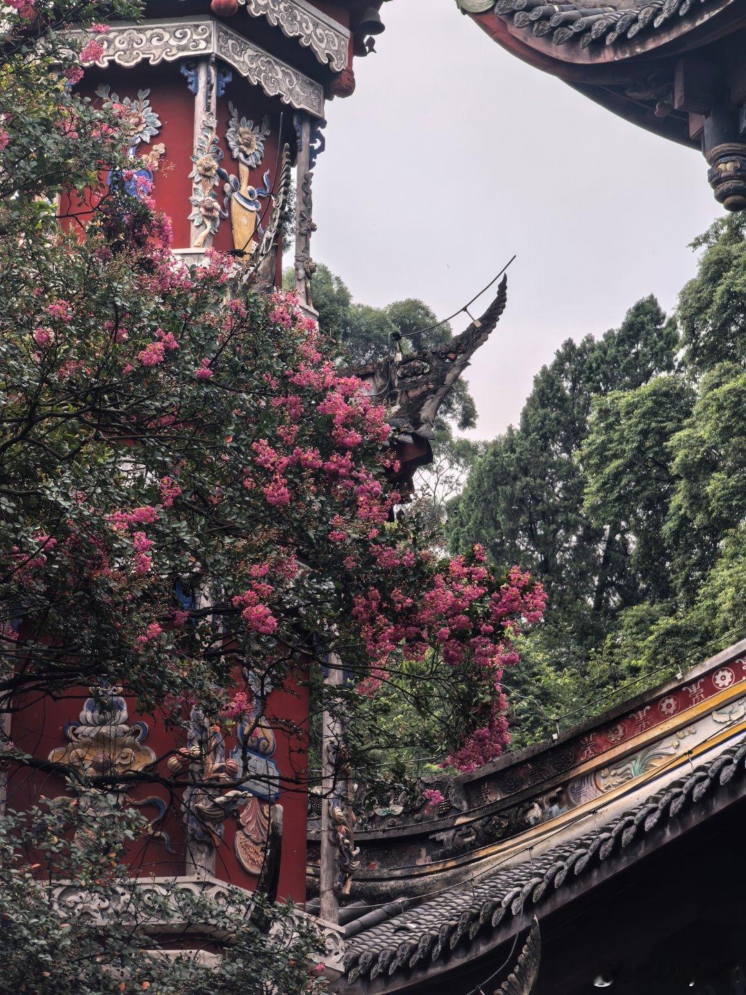 好幸运，今日都江堰阴天小雨，遇上云绕仙山⛅ 都江堰·都江堰景区