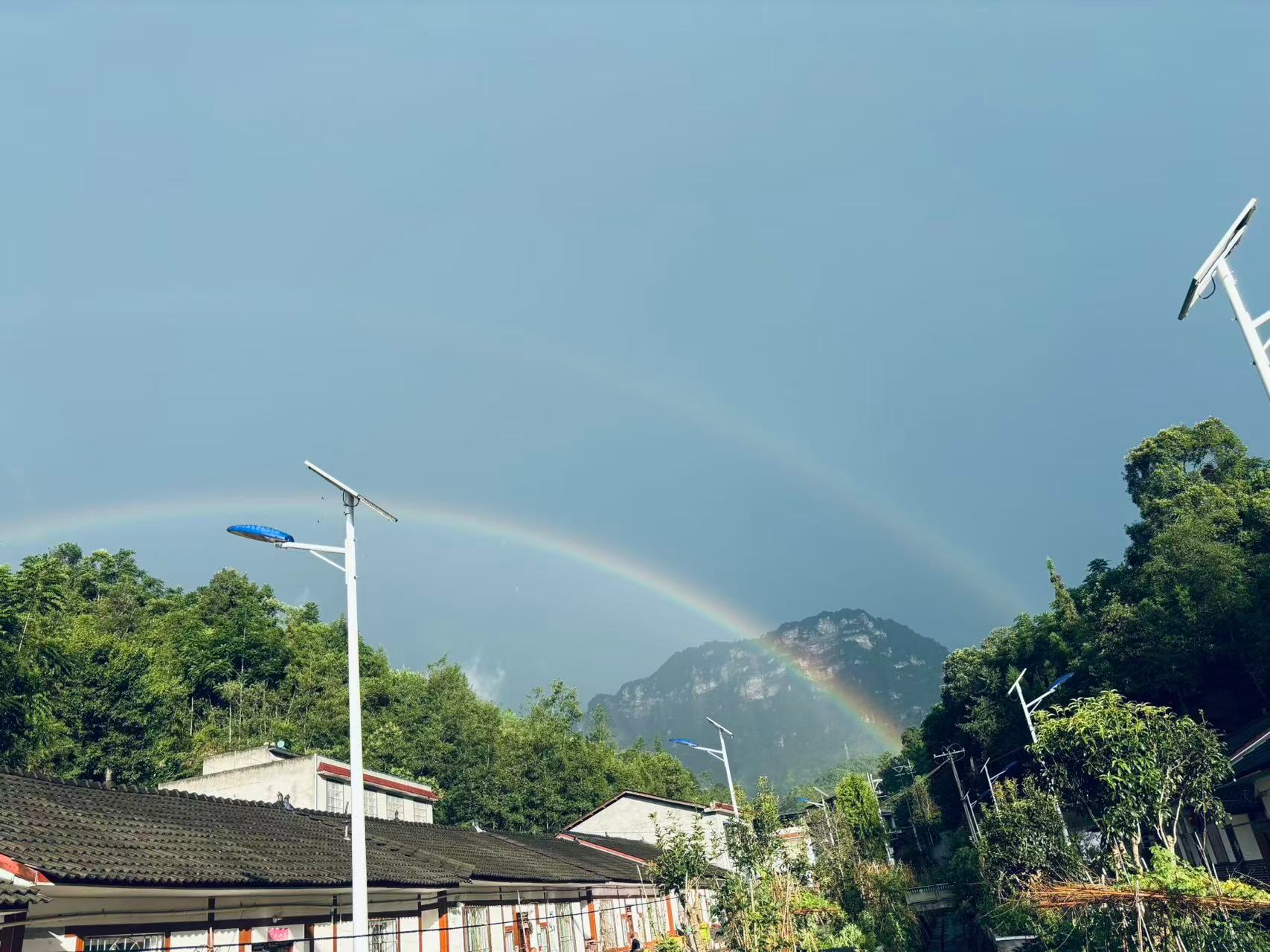 杨洋 天气这么好，是因为我要见到你了！岚图追光s全球代言人杨洋2026年岚图用户