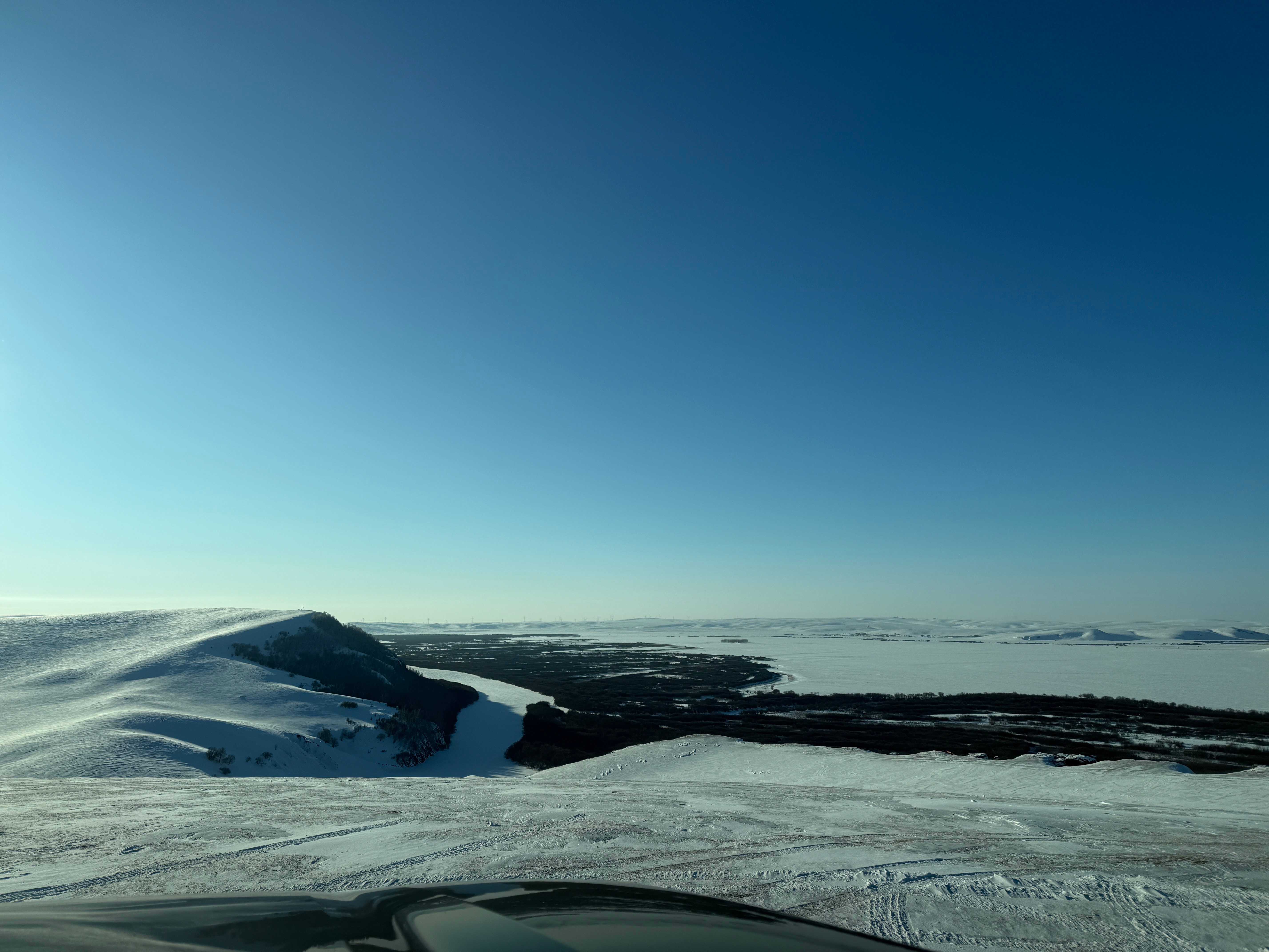 再见呼伦贝尔！漫天飞雪落满山林，白桦树裹着素白绒衣，银亮枝干映着淡蓝天光，林间雪