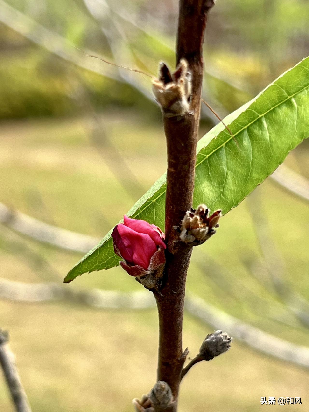 这么看，只要活够平均水平，那么交的养老金可以领回本来。

2025年中国人均预期