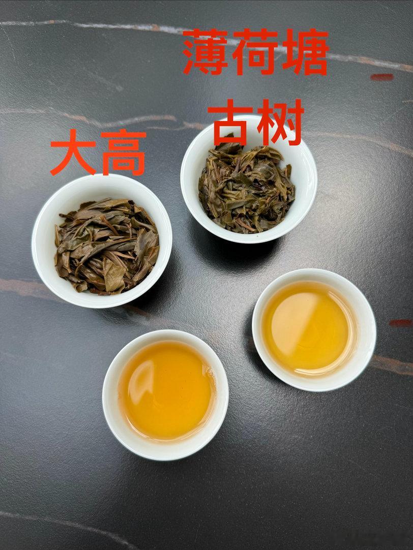 我们家大高不知道要怎么卖了？跟2021年头采薄荷塘古树同时出汤比对，汤薄一些，但