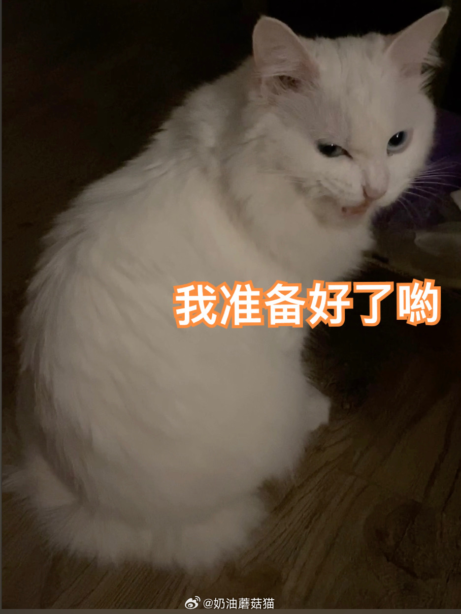人虎在和我冷战ing（暂且就这么形容吧）我其实特别想采访一下他，十几年白过了？到