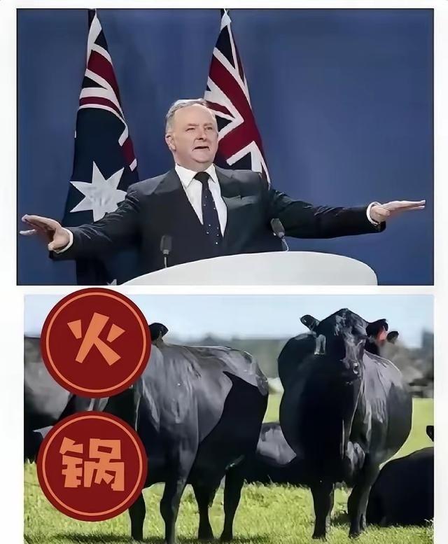 澳大利亚在处理与中国的关系上，蠢笨得连一头猪都不如。两国既无领土领海争端，经济上