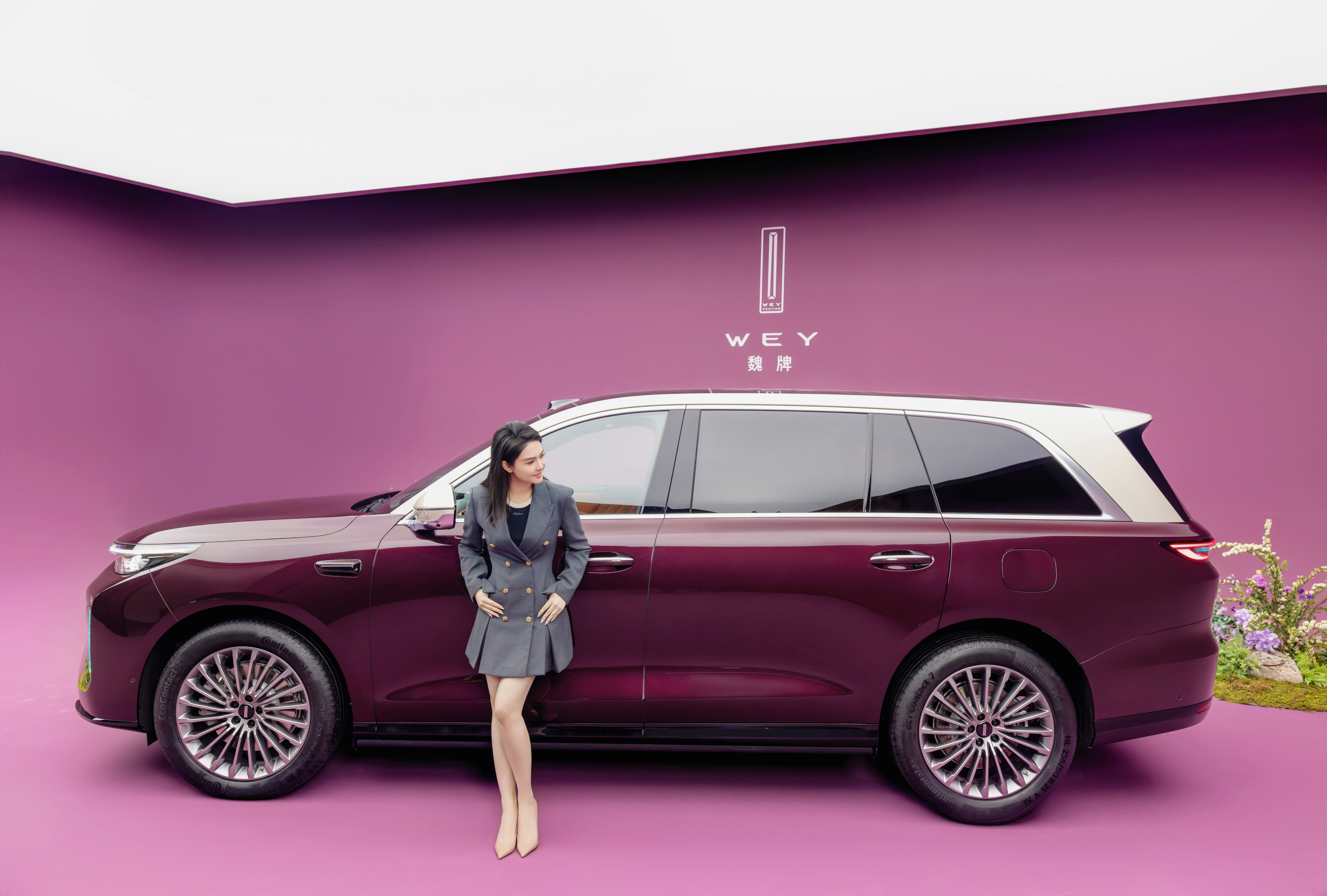 妹妹说紫色，很有______！魏牌v9x