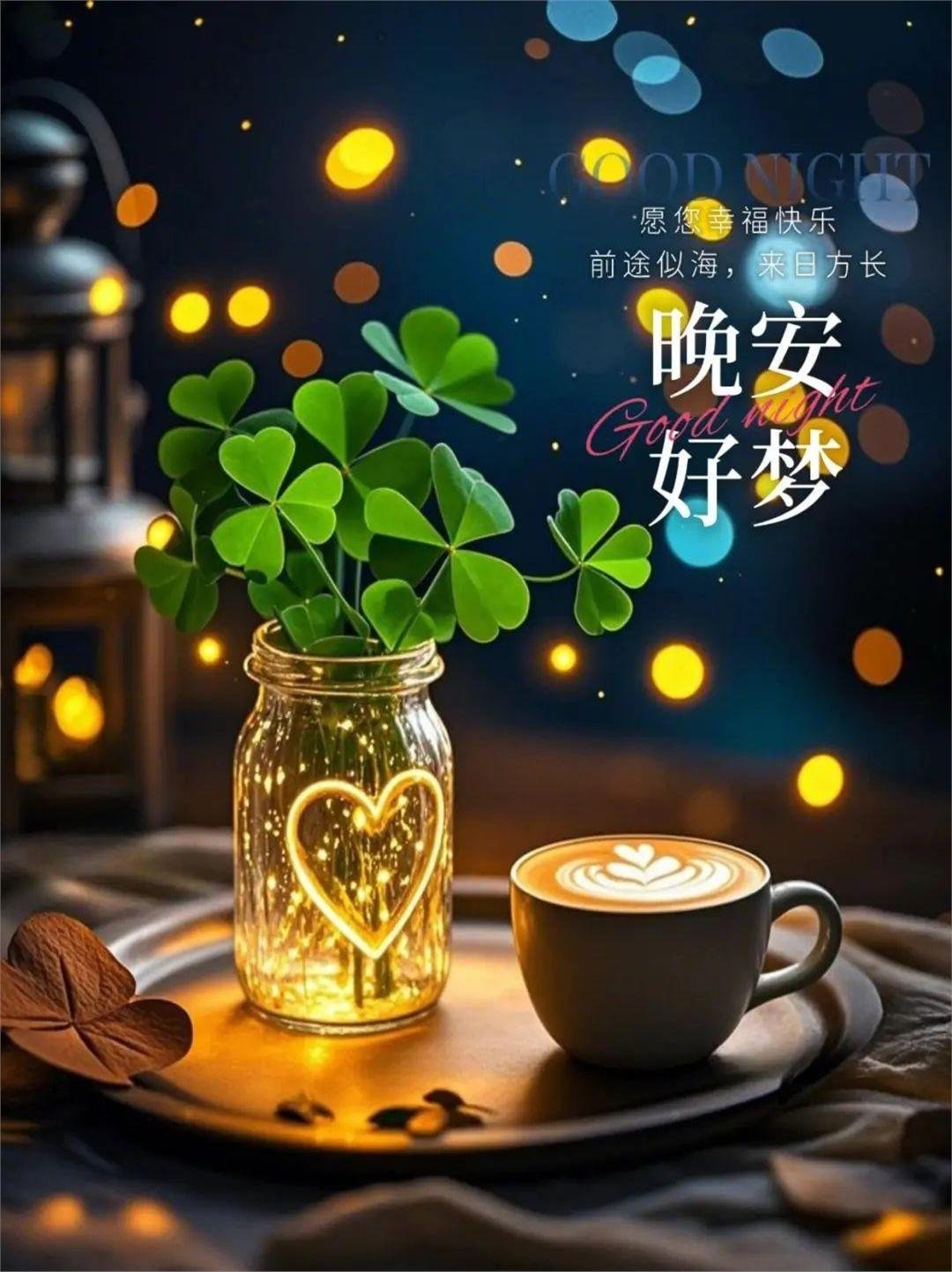 晚安 今天所有努力过的痕迹，都会在梦里开成静谧的花，晚安好梦 