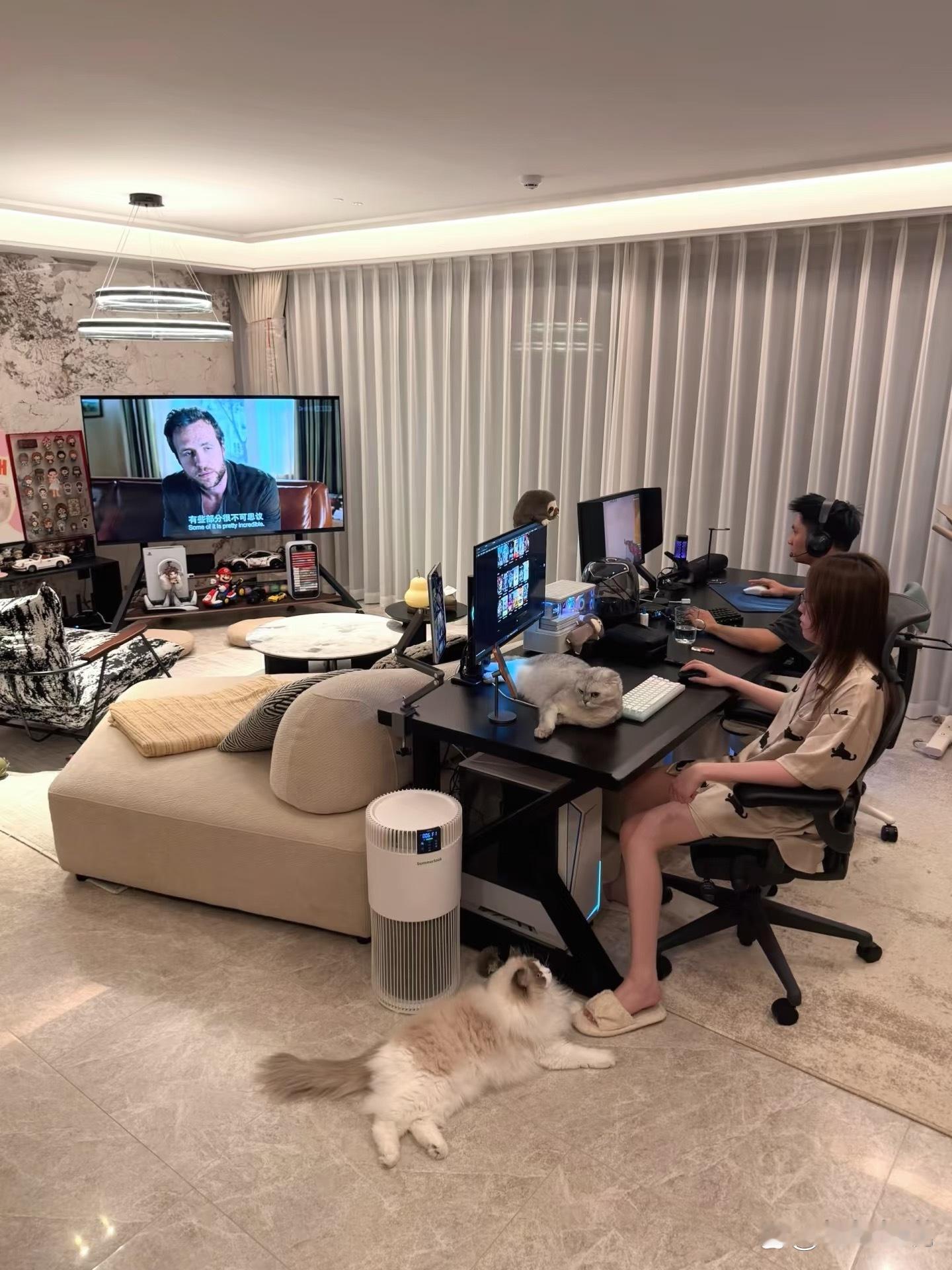 事实证明有钱人的家真的很大… 