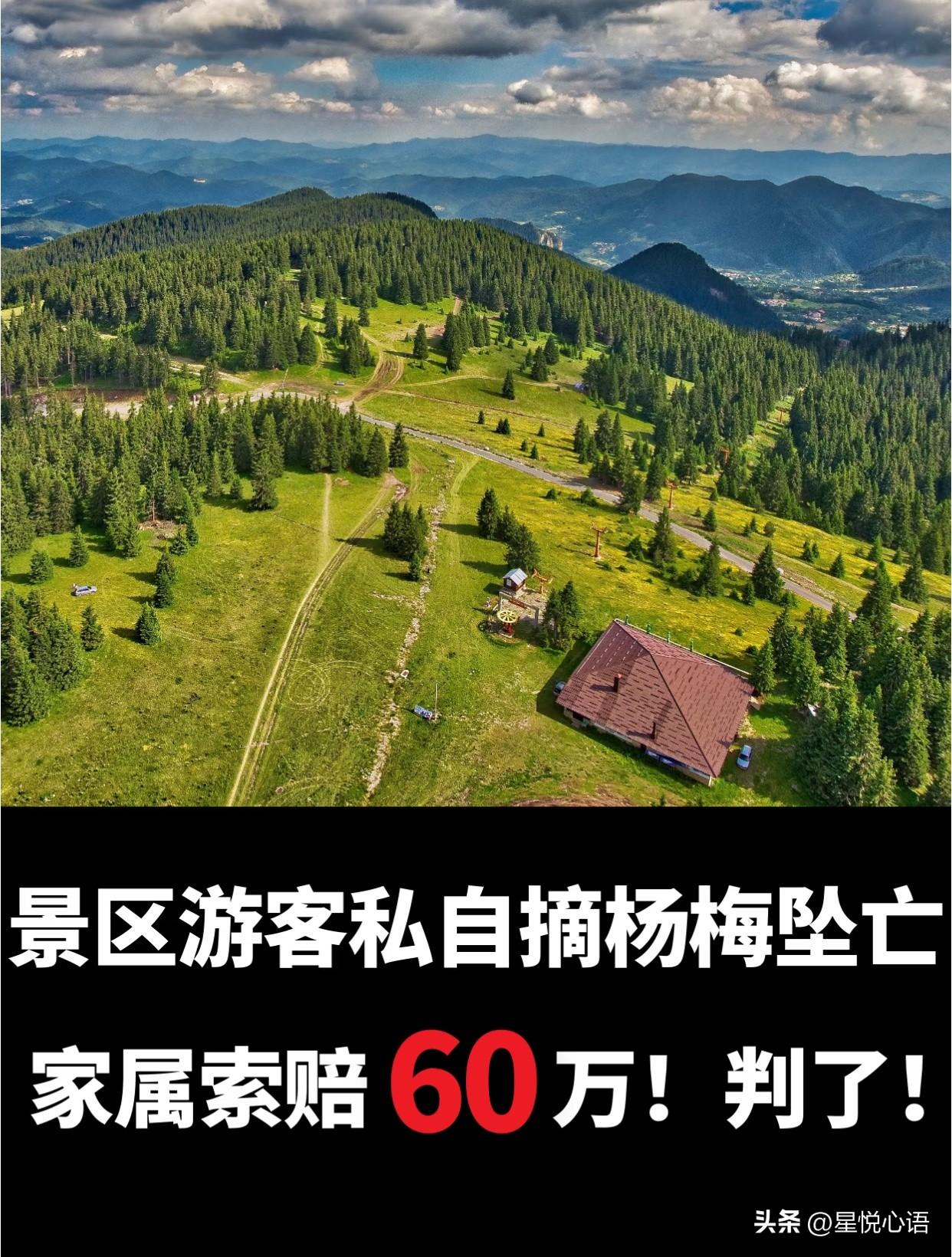 广州红山村这起杨梅树坠亡案，三审改判真的太解气了！
2017年六旬老人私爬景区杨