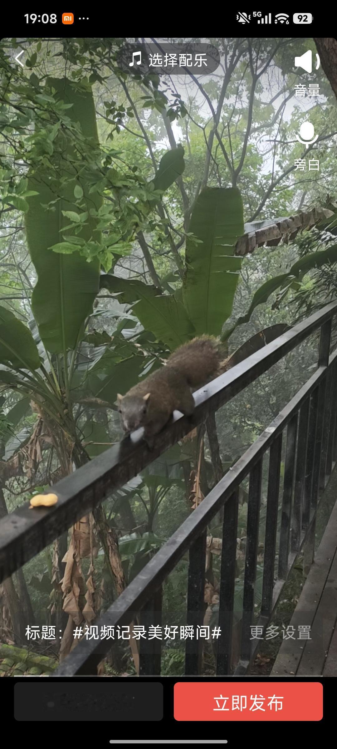 重庆沙坪坝区歌乐山上偶遇小松鼠，聪明伶俐，活泼可爱，令人喜不自禁。
重庆是一座山