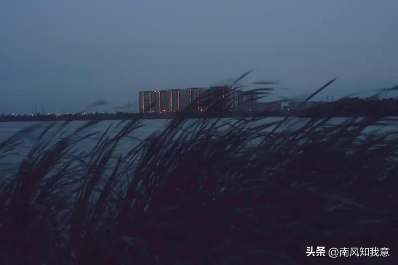 “夏天擅长制造幻觉”

我们在闷热的晚风里靠近
又在更闷热的午后走散
没有约定，