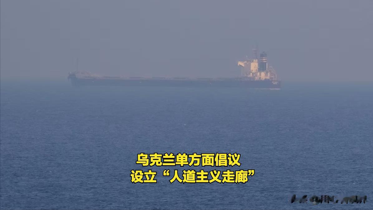 泽连斯基想得还挺“美”，喝的也挺“高”。乌克兰单方面宣布为滞留在黑海港口的船只设