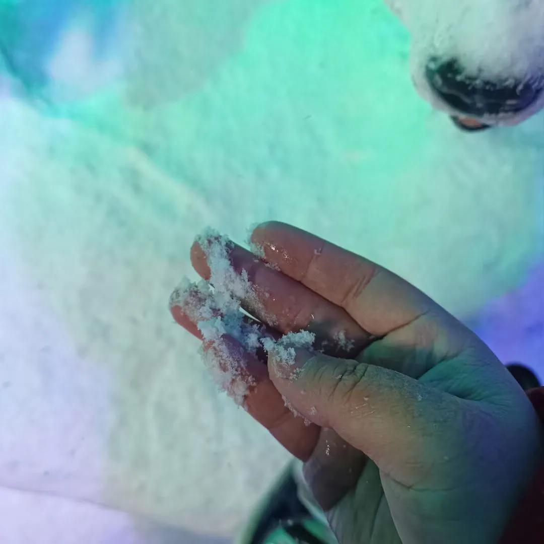 今年元旦节第一天，我就去了哈尔滨冰雪世界，感受到了真正的雪，原来真正的雪是冰沙做