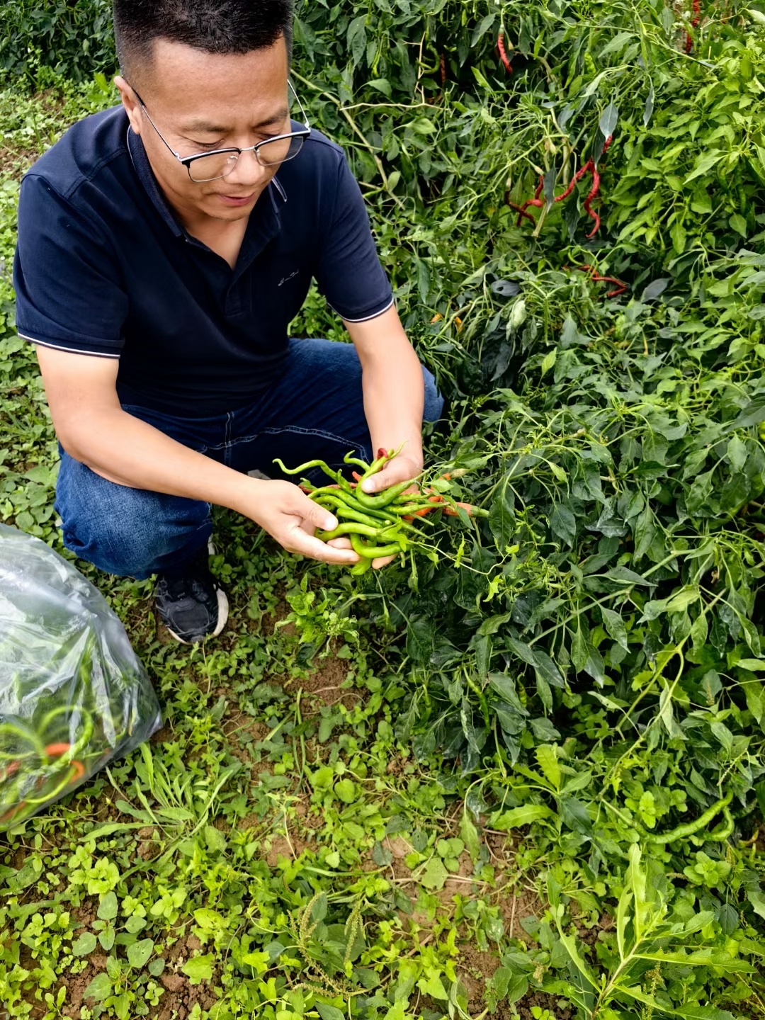 自种自食，有机天然。​天人合一，此中物趣无限。 ​​​