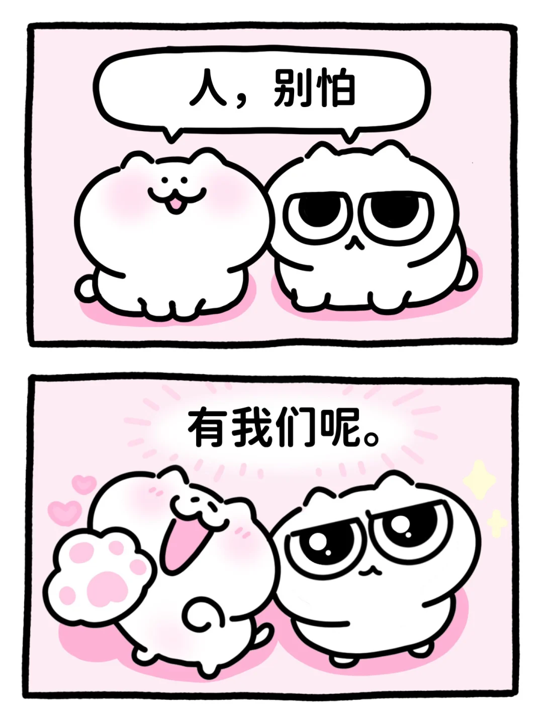 原来你也是小猫呀🐾