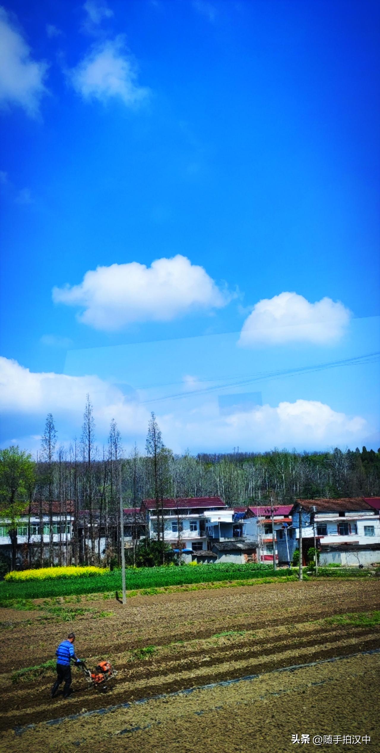 放眼望去，油菜花黄，麦苗青。村庄周围的草木正在抽芽、开花。原来，春天忙碌的，不仅