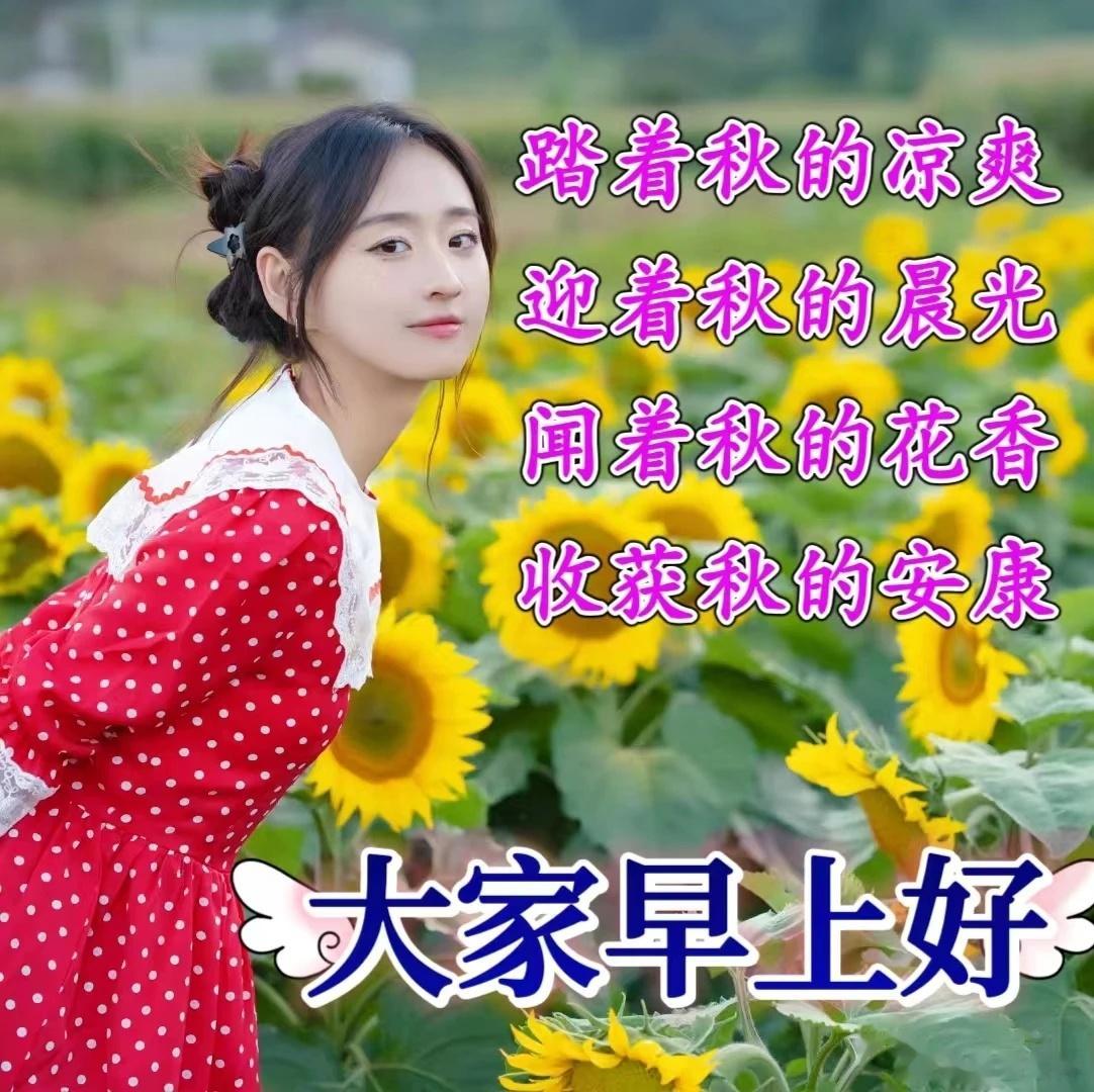 🍁生活，一半诗意，一半烟火：人生，一半努力，一半乐观：拾一片秋叶，携一份问候，