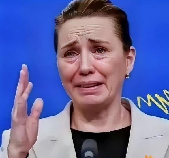 丹麦政府痛恨中国，丹麦一个不到600万人的小国，居然敢对中国硬气说“不”！

丹