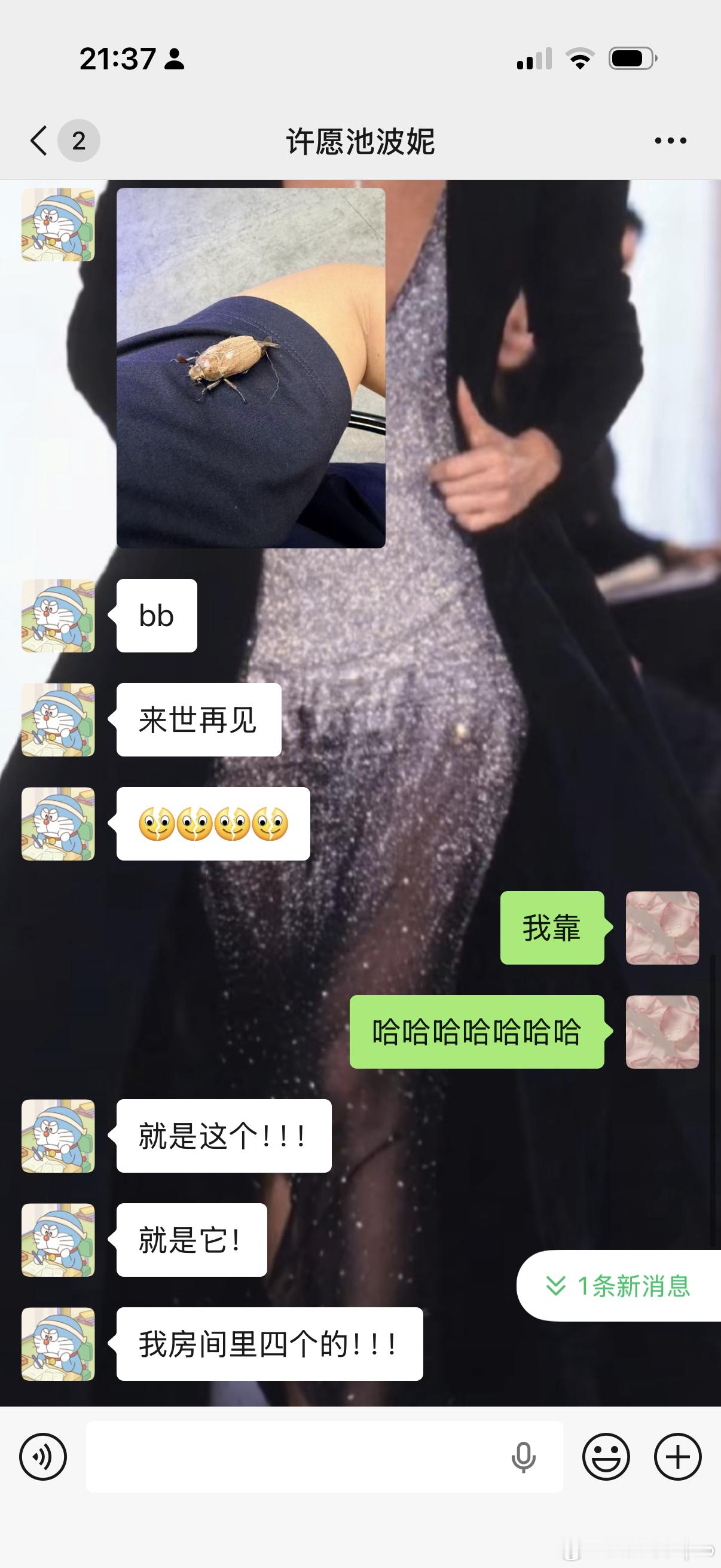 坏b是一个超级怕小虫子的人，哈哈哈哈哈哈哈哈哈飞来一个超级大虫哈哈哈哈哈哈 