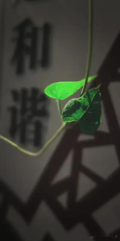 人这一辈子,能遇到几个知己? 人这一辈子，能遇到几个知己？这真是个扎心的问题。牛