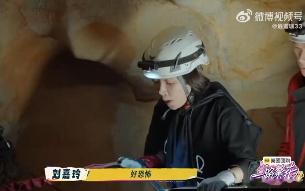妈呀，这高度谁顶得住啊！刘嘉玲站在岩壁边，脚抖得不行，喊声都带着颤，太让人紧张了