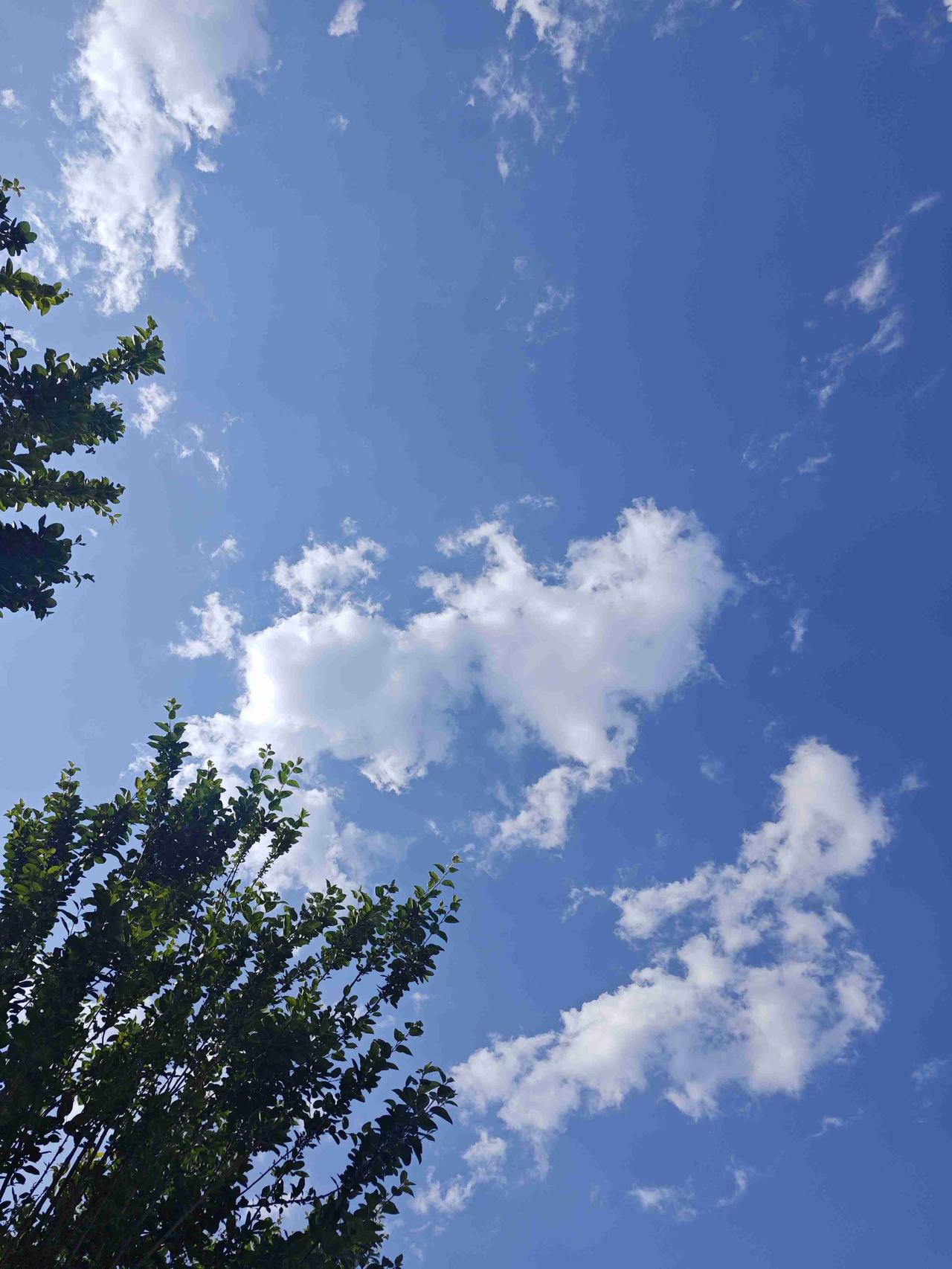 我的今日状态：😁轻松愉快
我这里的天气：☀️晴天
蓝天白云绿树，空气清新，温度