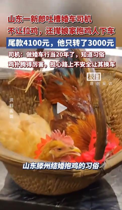 “大吉大利，鸡不能不上车！”山东枣庄，一场本应喜庆的接亲，却因一只大公鸡闹得不可