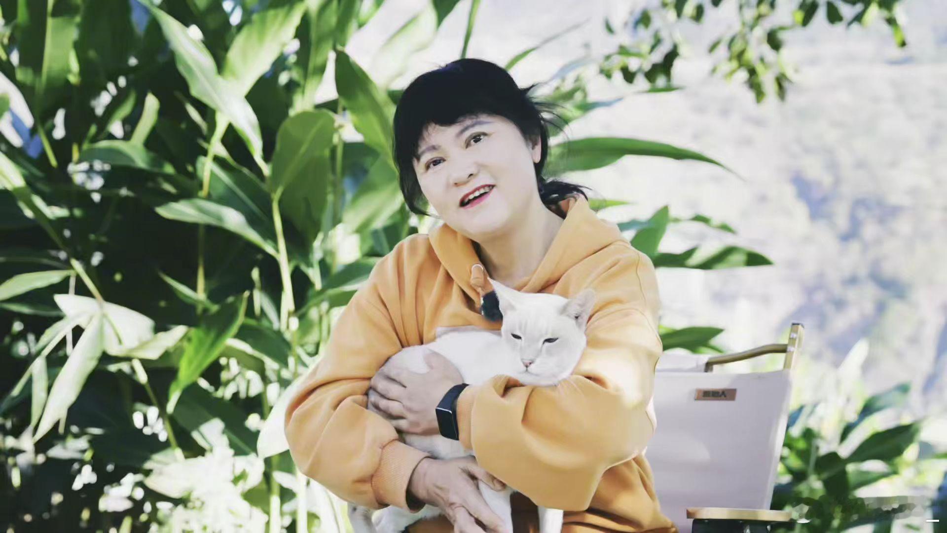 春风十里昆明有你凡人微光聚春城我就是滇风在昆明，彭老师一边救助流浪猫，一边也被这