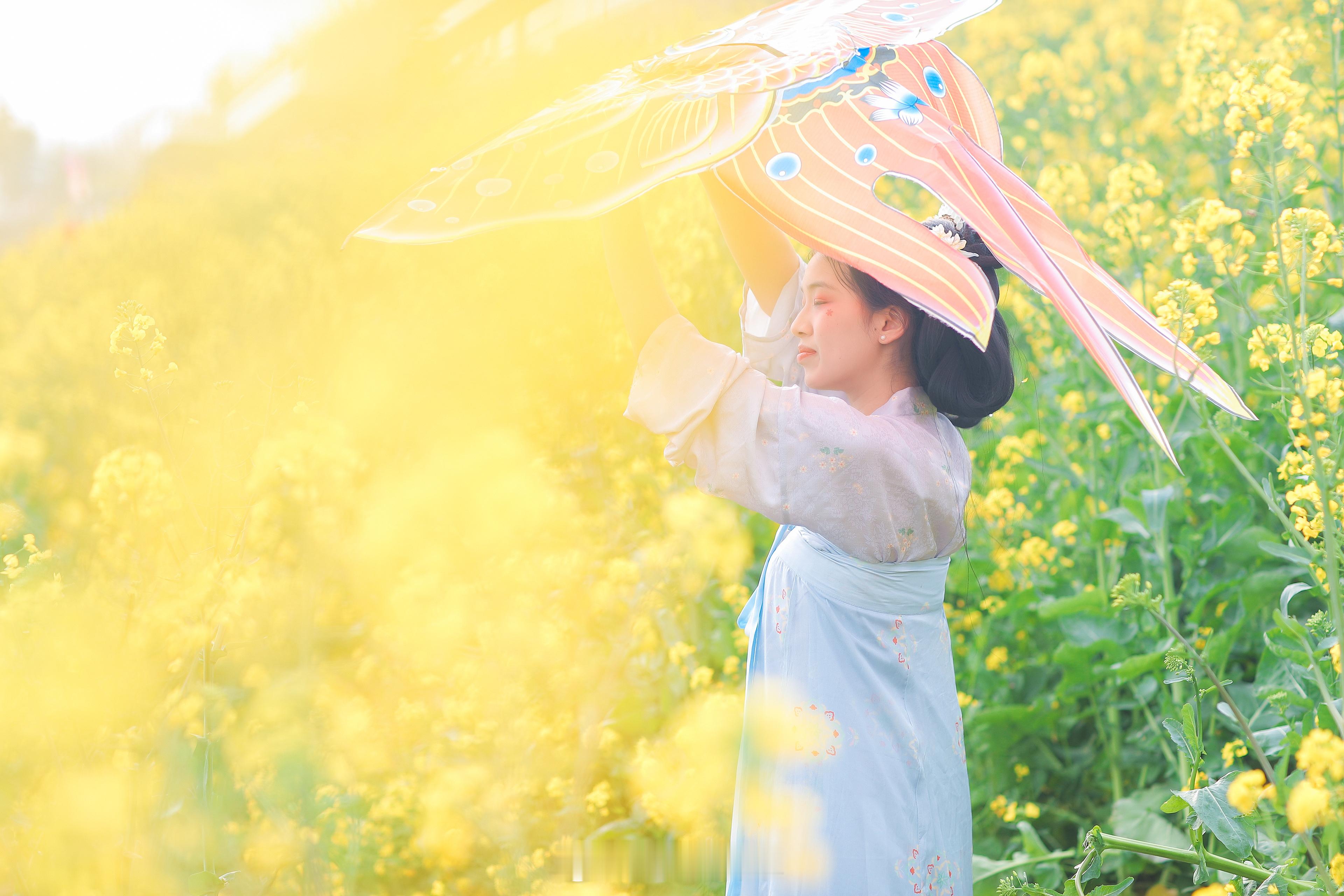 油菜花开了 ​​​