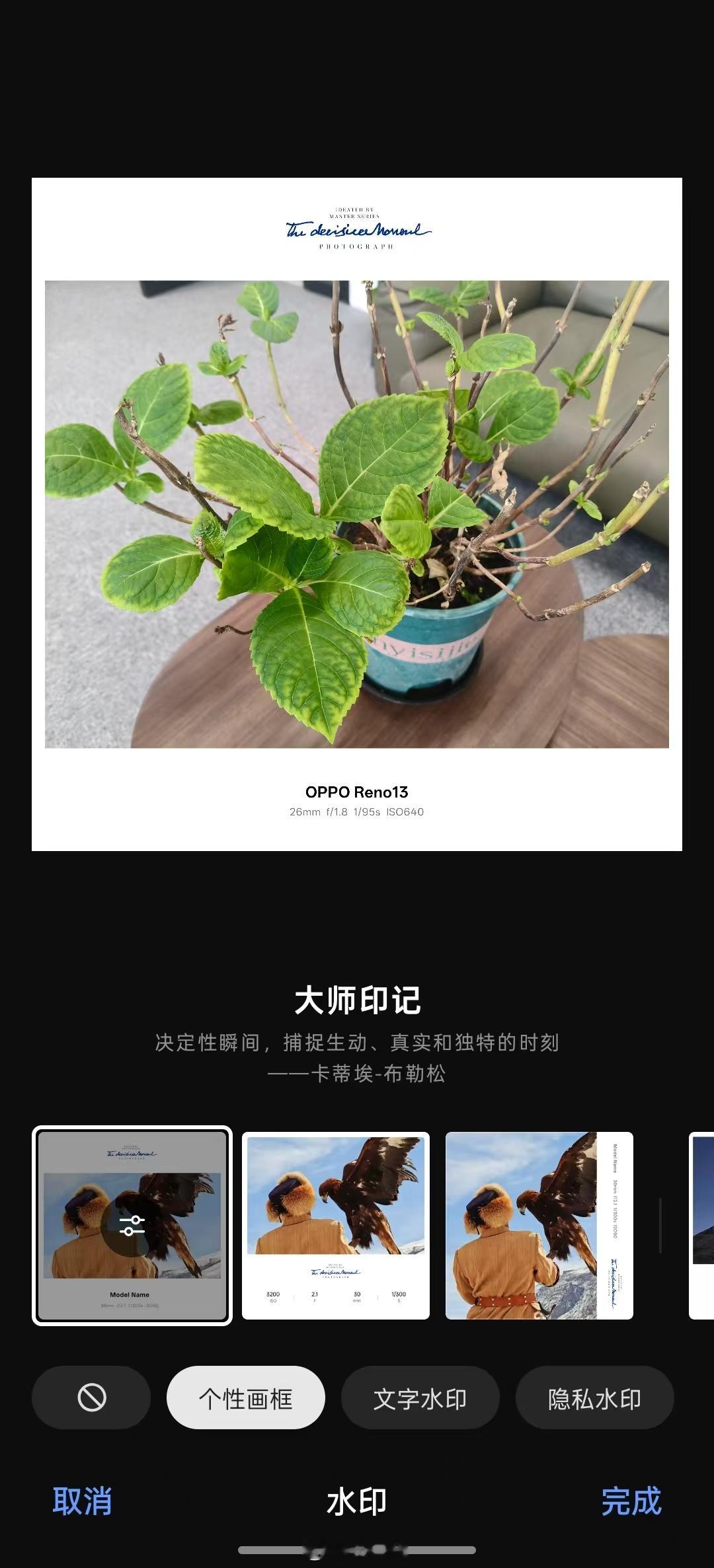 Reno13给Live图都配了这么多水印，我用Find X8 Pro的时候也没有