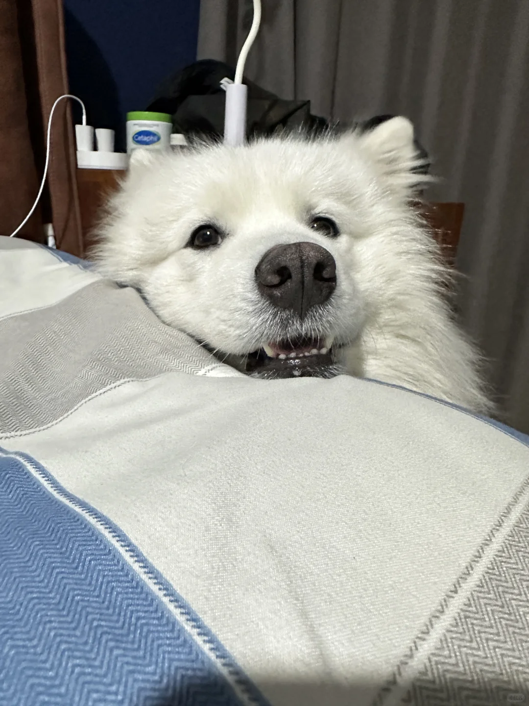 姨姨们，都睡了吗