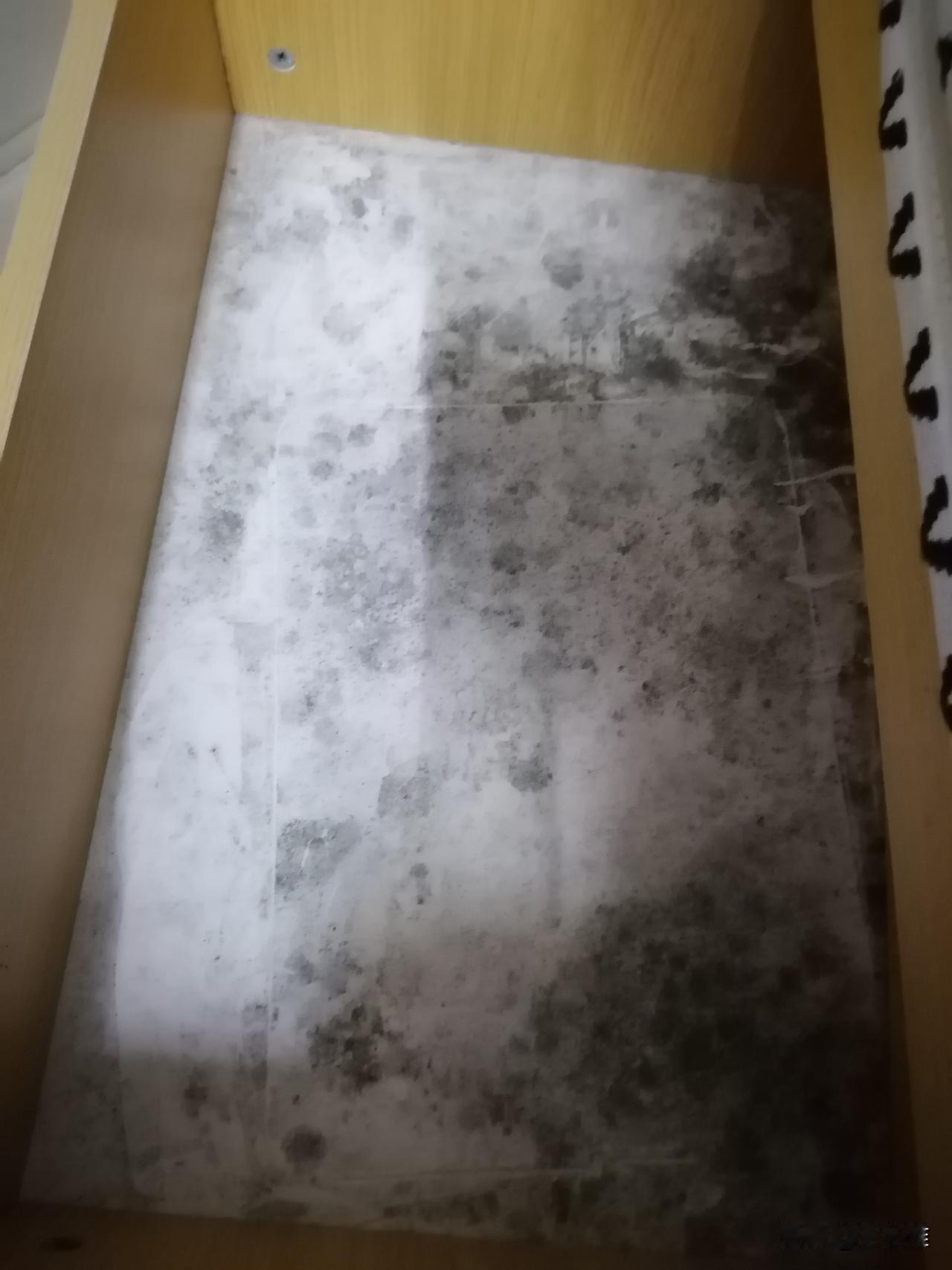 深圳进入雨季以来，没想到霉菌滋生的这么厉害，我要逃去三楼了。

前些日子，我总觉