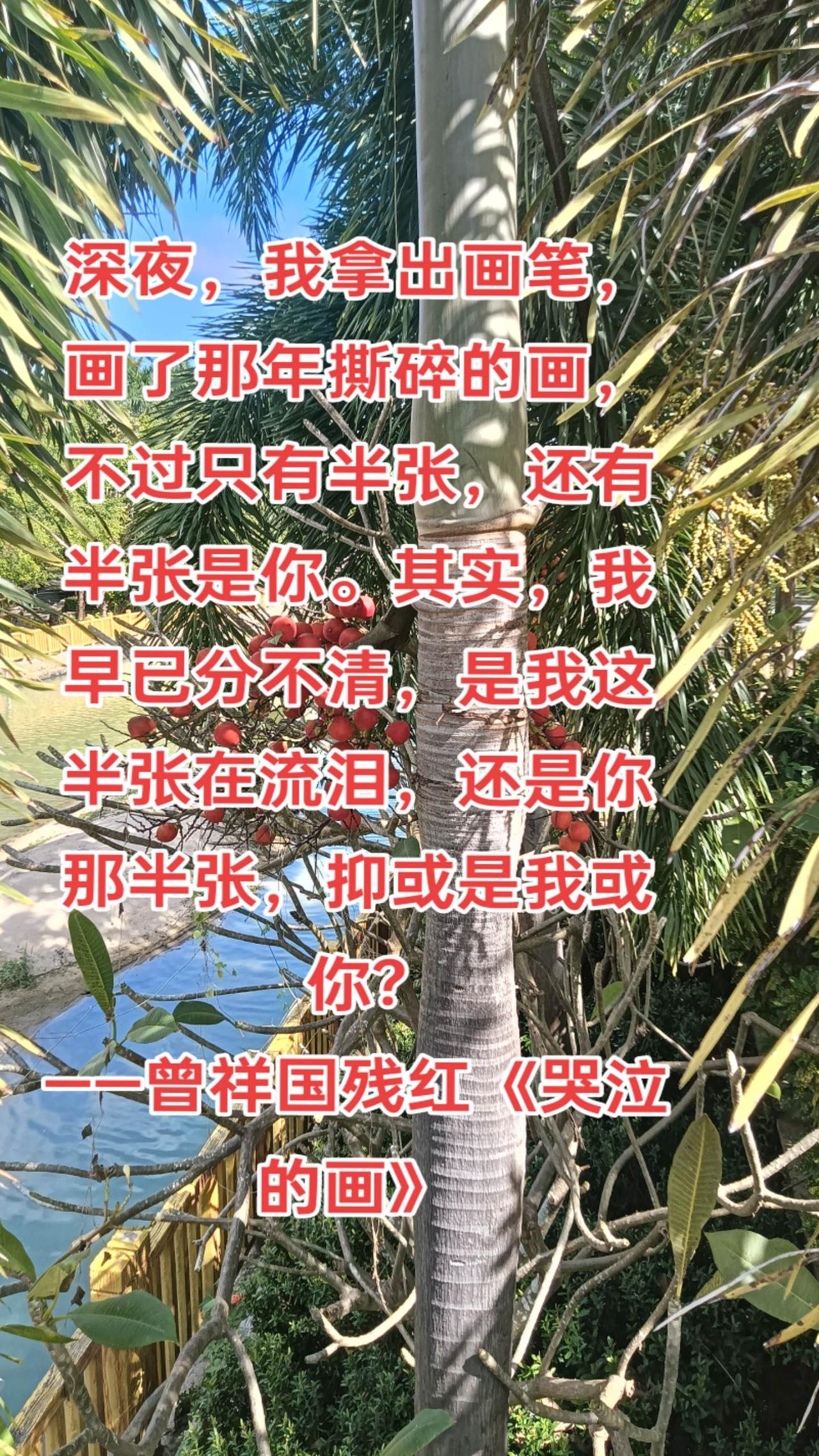 深夜，我拿出画笔，画了那年撕碎的画，不过只有半张，还有半张是你。其实，我早已分不