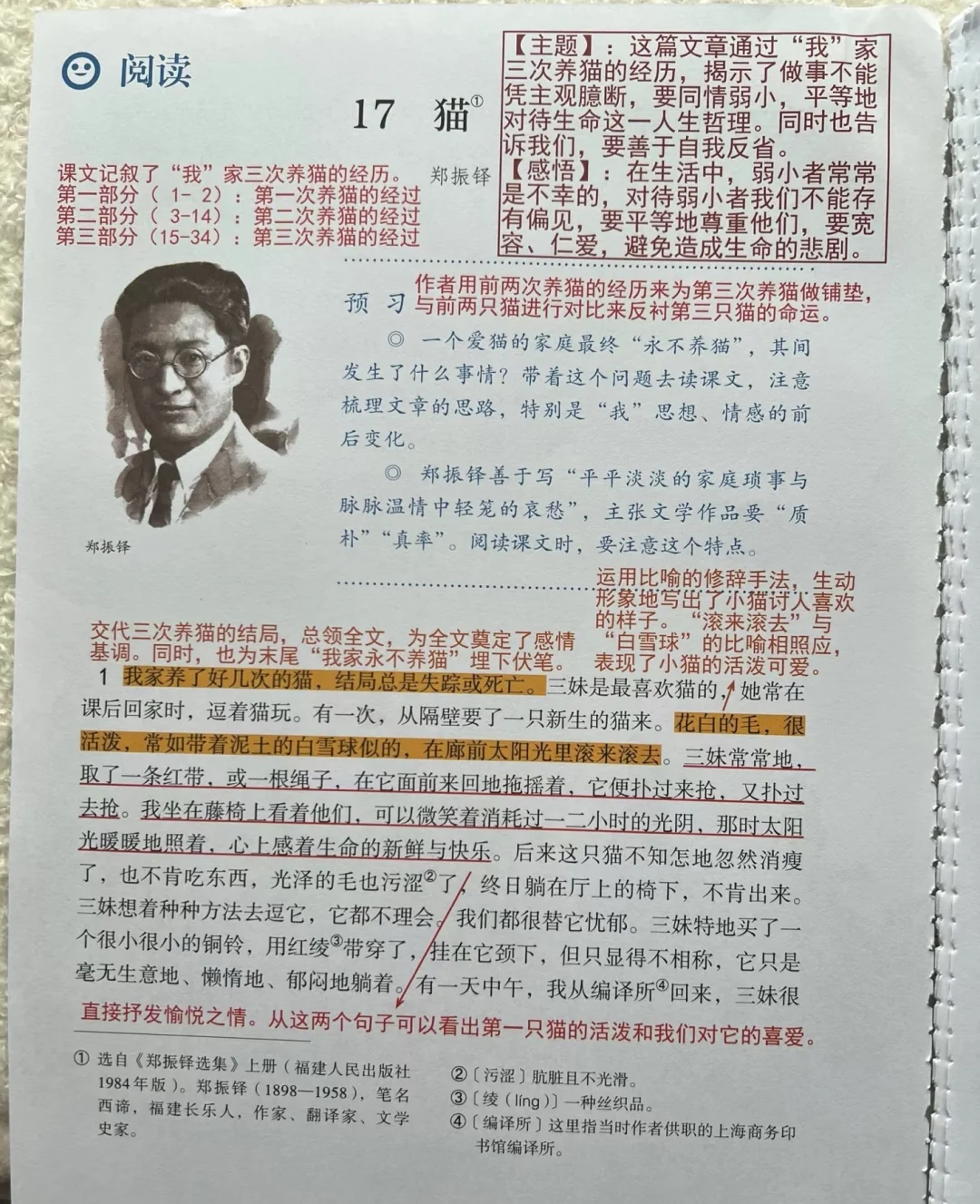 七年级第五单元课堂笔记‼️